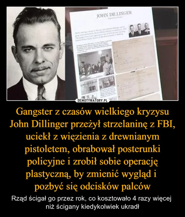 
    Gangster z czasów wielkiego kryzysu John Dillinger przeżył strzelaninę z FBI, uciekł z więzienia z drewnianym pistoletem, obrabował posterunki policyjne i zrobił sobie operację plastyczną, by zmienić wygląd i pozbyć się odcisków palców