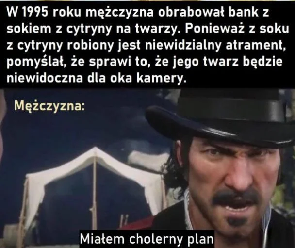 
    Plan miał pewne wady