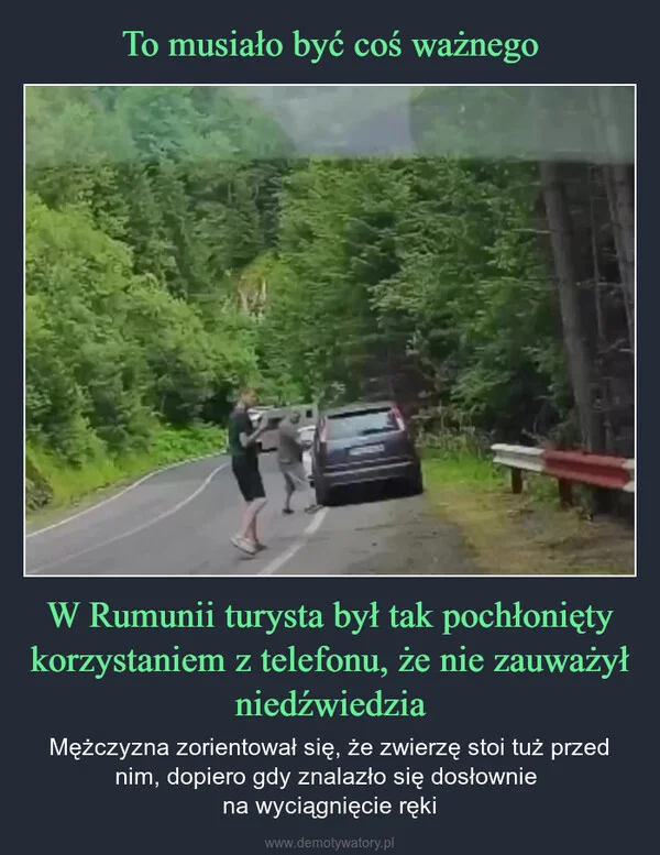 
    To musiało być coś ważnego W Rumunii turysta był tak pochłonięty korzystaniem z telefonu, że nie zauważył niedźwiedzia