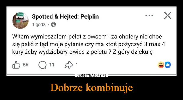 
    Dobrze kombinuje