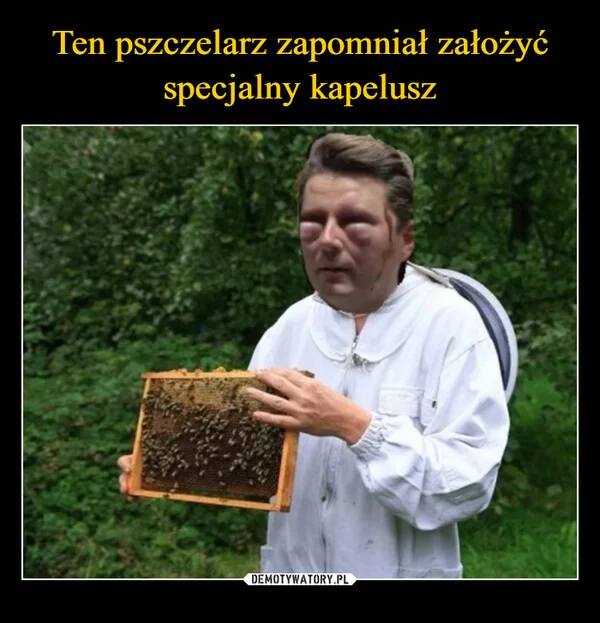 
    Ten pszczelarz zapomniał założyć specjalny kapelusz