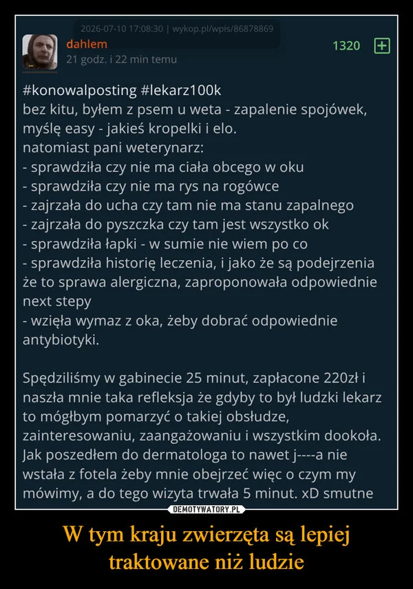 
    W tym kraju zwierzęta są lepiej traktowane niż ludzie