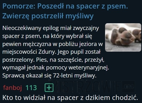 
    Spacer