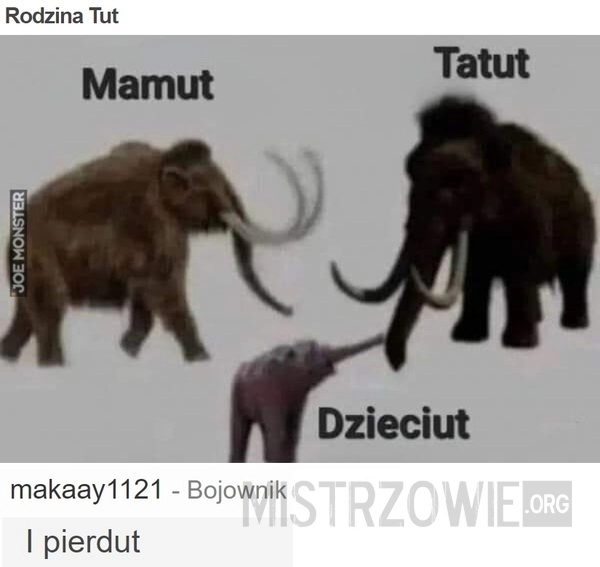 
    Rodzina Tut