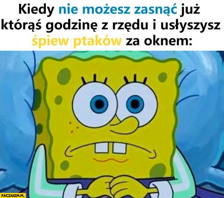 
    Spongebob kiedy nie możesz zasnąć już któraś godzinę z rzędu i usłyszysz śpiew ptaków za oknem