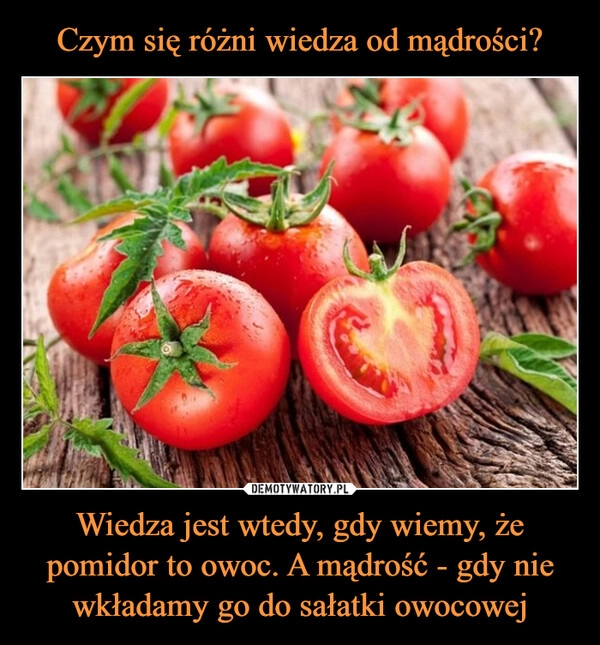 
    Czym się różni wiedza od mądrości? Wiedza jest wtedy, gdy wiemy, że pomidor to owoc. A mądrość - gdy nie wkładamy go do sałatki owocowej