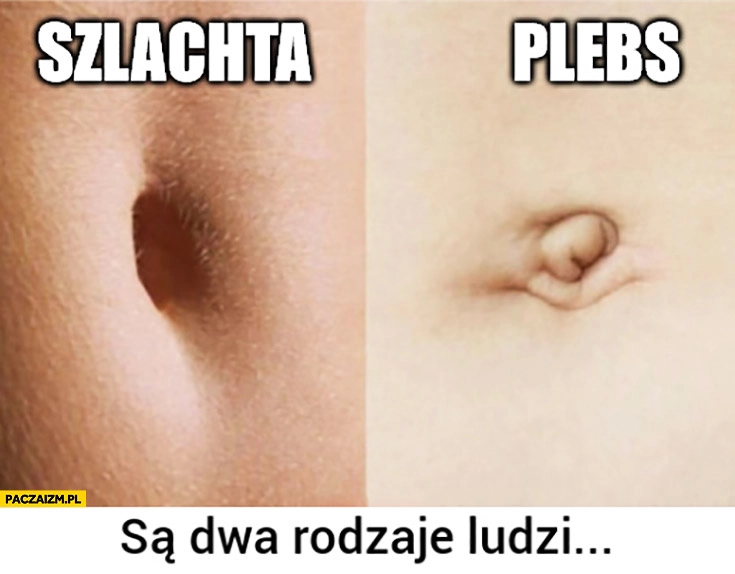 
    Pępek szlachta plebs porównanie są dwa rodzaje ludzi