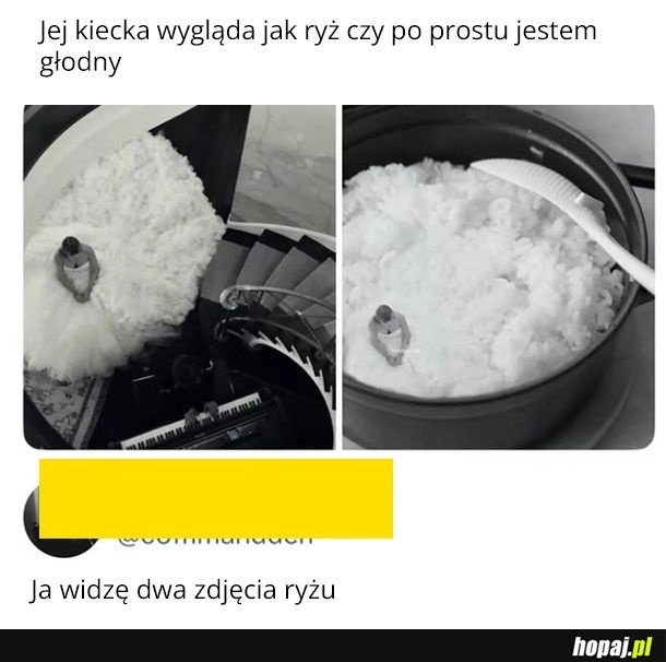 
    Ryż
