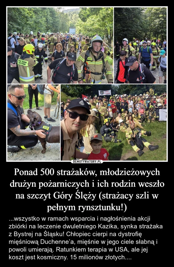 
    Ponad 500 strażaków, młodzieżowych drużyn pożarniczych i ich rodzin weszło na szczyt Góry Ślęży (strażacy szli w pełnym rynsztunku!)