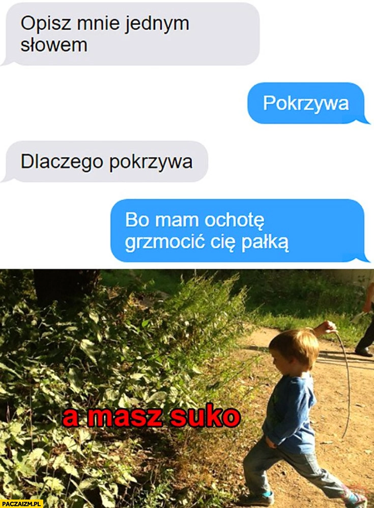 
    Opisz mnie jednym słowem: pokrzywa, dlaczego? Bo mam ochotę grzmocić Cię pałką