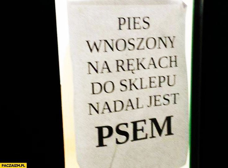 
    Pies wnoszony na rękach do sklepu nadal jest psem