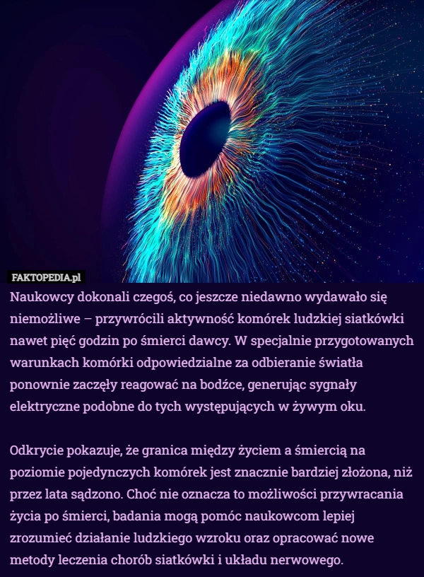 
    Naukowcy dokonali czegoś, co jeszcze niedawno wydawało się niemożliwe –