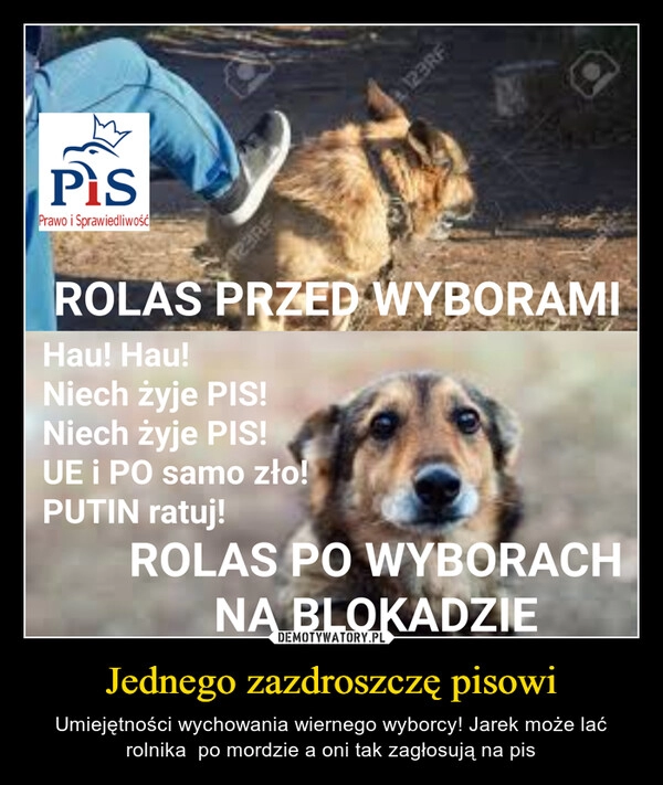 
    Jednego zazdroszczę pisowi