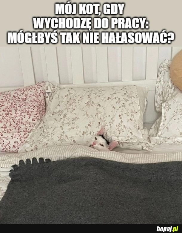 
    "I zarób na porządne saszety"