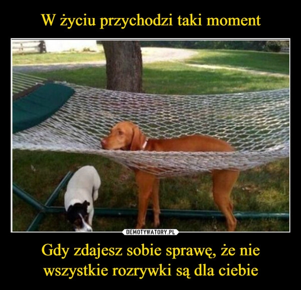 
    W życiu przychodzi taki moment Gdy zdajesz sobie sprawę, że nie wszystkie rozrywki są dla ciebie