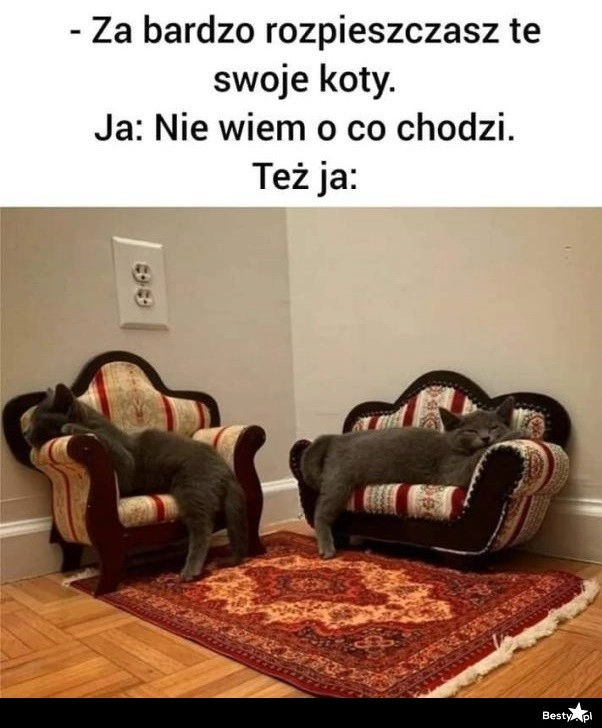 
    No może troszeczkę 