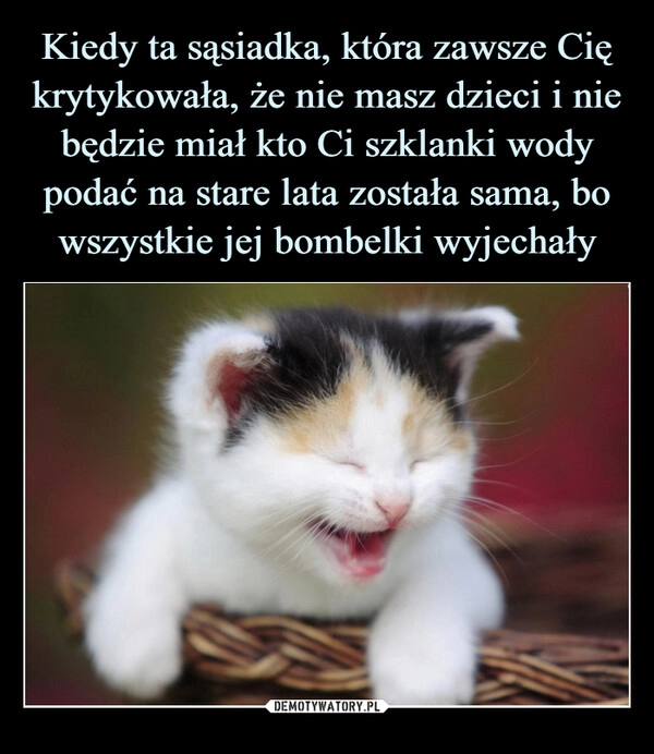 
    Kiedy ta sąsiadka, która zawsze Cię krytykowała, że nie masz dzieci i nie będzie miał kto Ci szklanki wody podać na stare lata została sama, bo wszystkie jej bombelki wyjechały