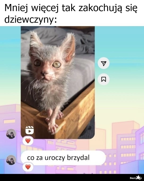 
    Jak zakochują się dziewczyny 