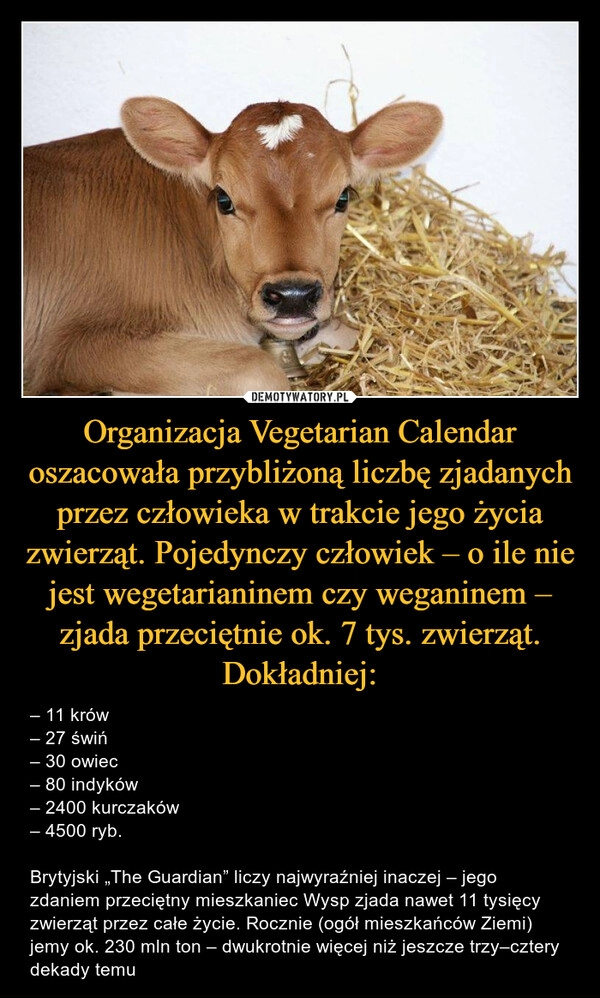 
    Organizacja Vegetarian Calendar oszacowała przybliżoną liczbę zjadanych przez człowieka w trakcie jego życia zwierząt. Pojedynczy człowiek – o ile nie jest wegetarianinem czy weganinem – zjada przeciętnie ok. 7 tys. zwierząt. Dokładniej: