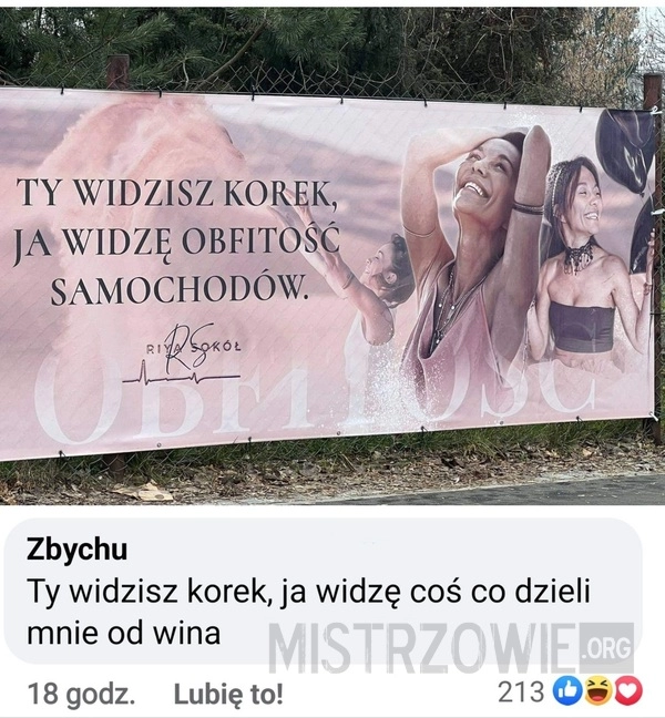 
    Obfitość