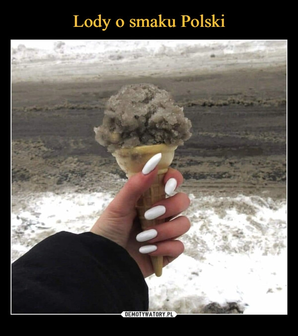 
    Lody o smaku Polski