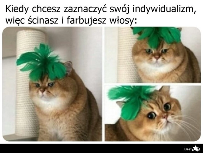 
    Czasem dobrze wyrazić siebie