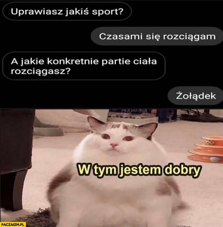 
    Kot uprawiasz jakiś sport czasem się rozciągam a jakie konkretnie partie ciała żołądek w tym jestem dobry