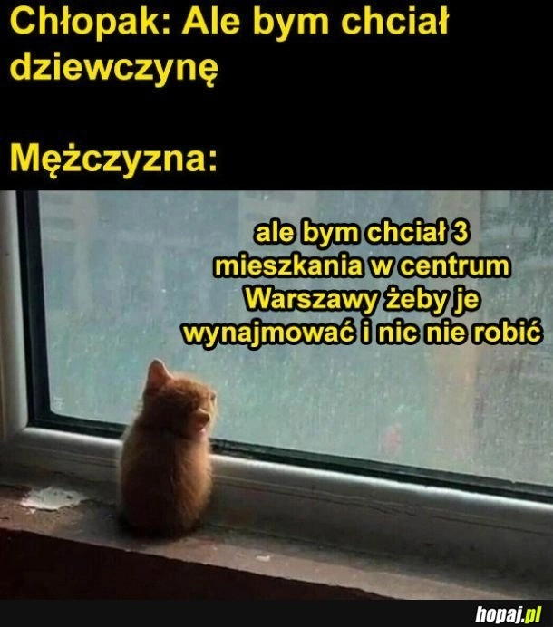 
    Porównanie