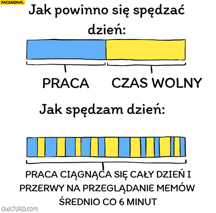 
    Jak powinno się spędzać dzień: praca, czas wolny. Jak spędzam dzień: praca ciągnąca się cały dzień i przerwy na przeglądanie memów co 6 minut