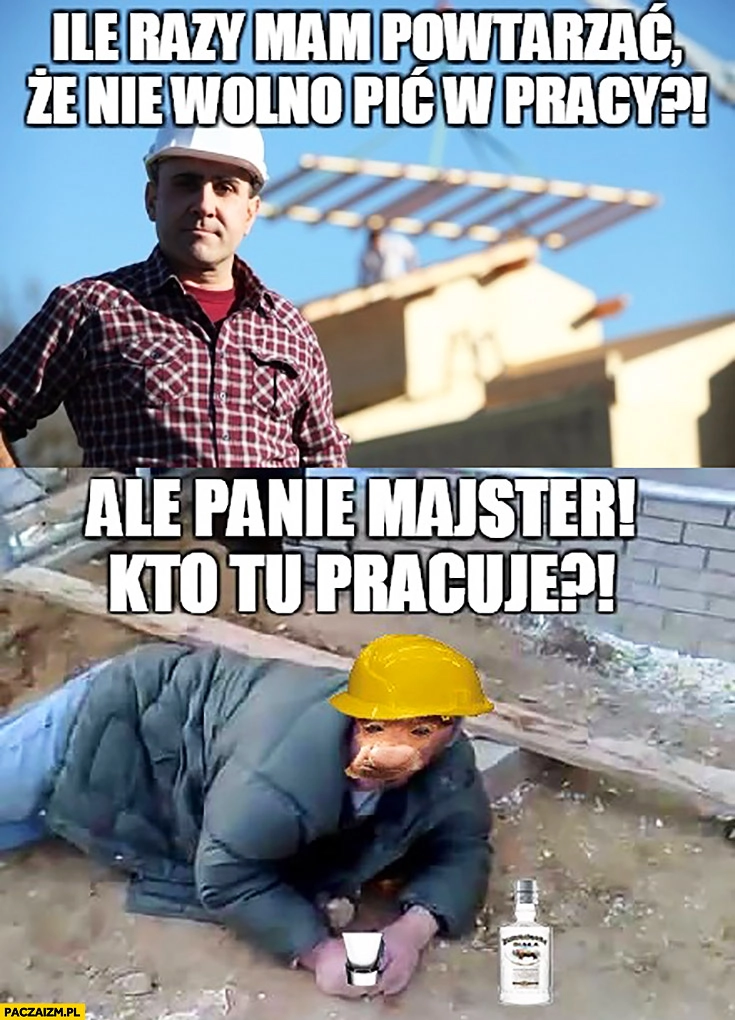 Ile razy mam powtarzać, że nie wolno pić w pracy na budowie? Ale panie majster, kto tu pracuje? Typowy Polak nosacz małpa