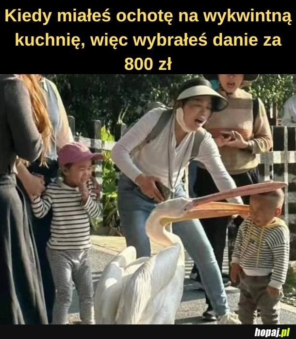 
    Danie za 800 zł. 