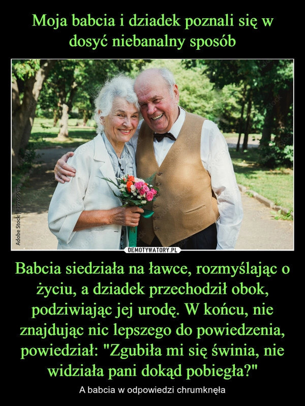 
    Moja babcia i dziadek poznali się w dosyć niebanalny sposób Babcia siedziała na ławce, rozmyślając o życiu, a dziadek przechodził obok, podziwiając jej urodę. W końcu, nie znajdując nic lepszego do powiedzenia, powiedział: "Zgubiła mi się świnia, nie widziała pani dokąd pobiegła?"