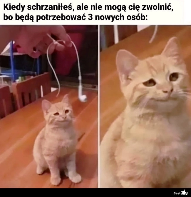 
    Nic mi nie zrobicie 