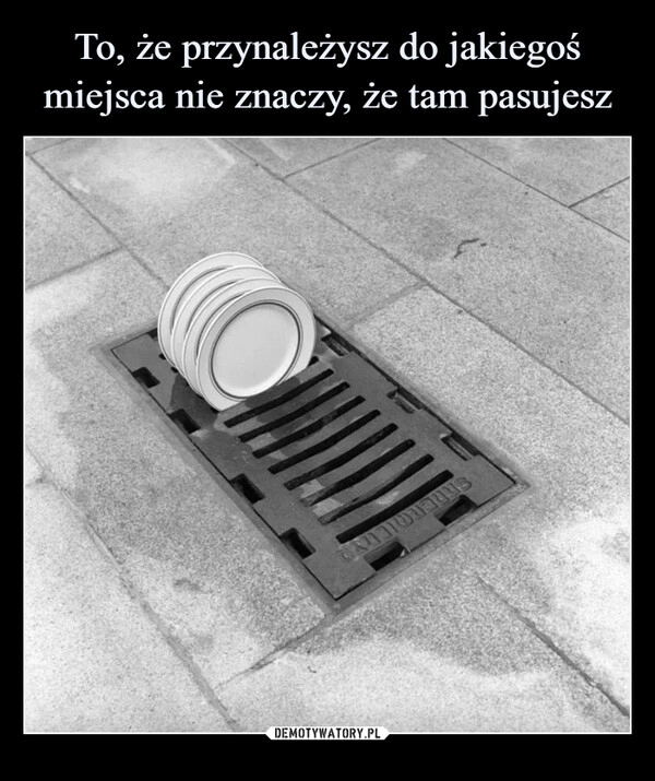 
    
To, że przynależysz do jakiegoś miejsca nie znaczy, że tam pasujesz 