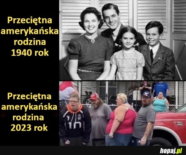 
    Przeciętna amerykańska rodzina