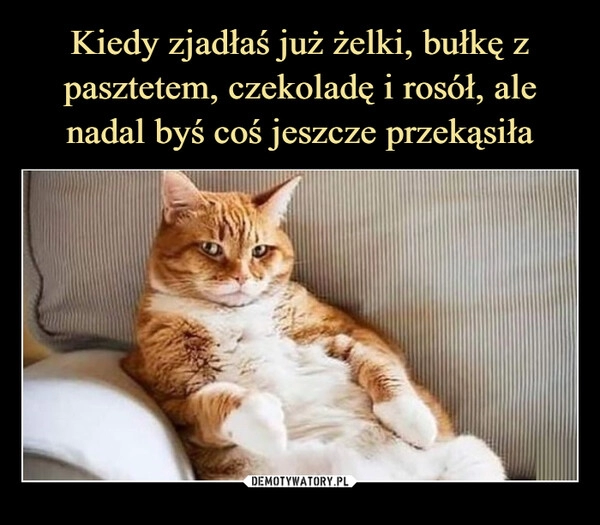 
    Kiedy zjadłaś już żelki, bułkę z pasztetem, czekoladę i rosół, ale nadal byś coś jeszcze przekąsiła