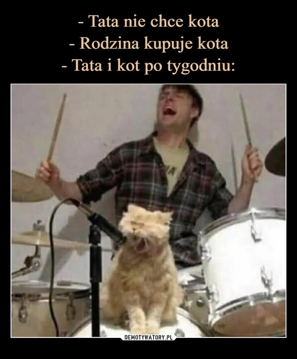 
    - Tata nie chce kota
- Rodzina kupuje kota
- Tata i kot po tygodniu: