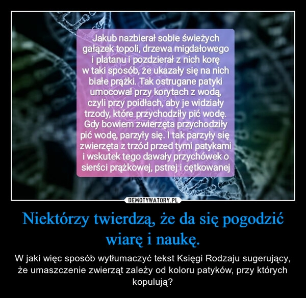 
    Niektórzy twierdzą, że da się pogodzić wiarę i naukę.