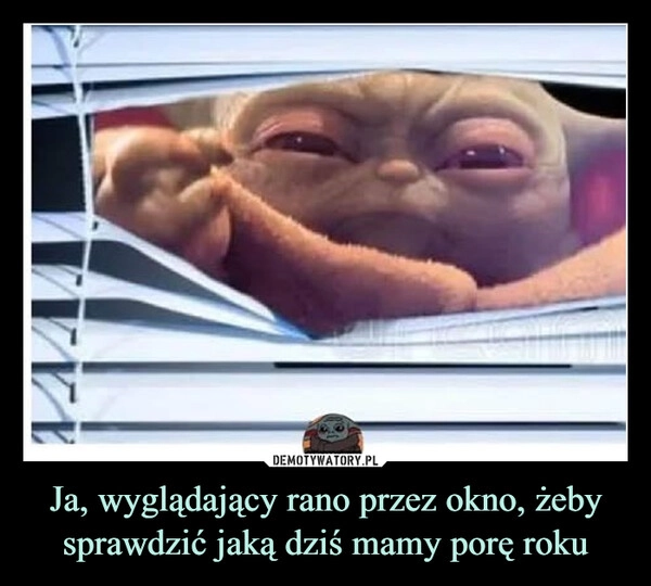 
    Ja, wyglądający rano przez okno, żeby sprawdzić jaką dziś mamy porę roku