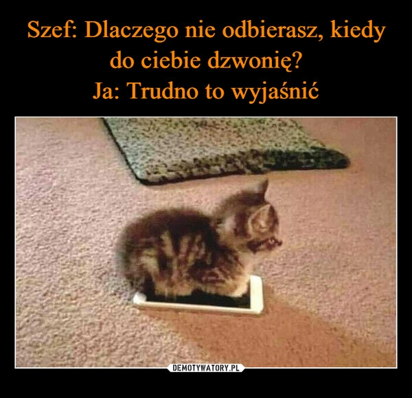 
    Szef: Dlaczego nie odbierasz, kiedy do ciebie dzwonię?
Ja: Trudno to wyjaśnić