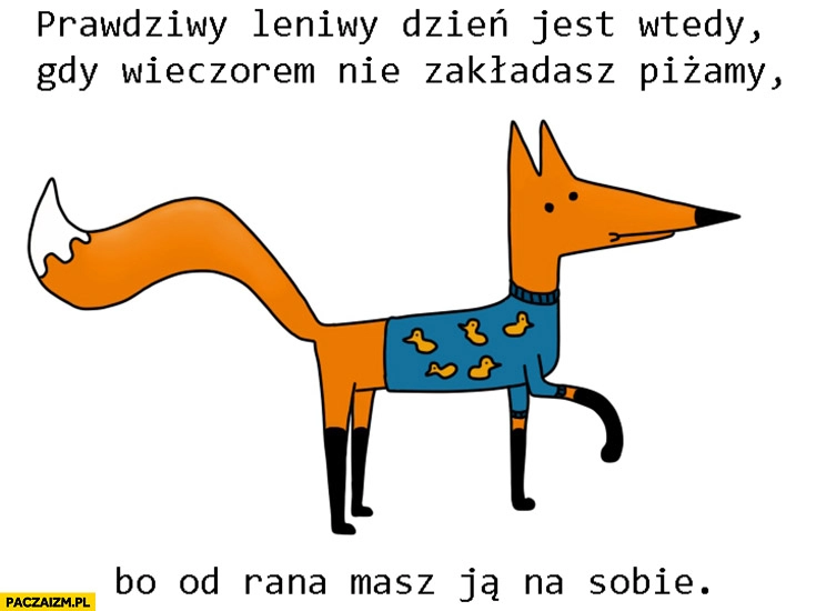 
    Prawdziwy leniwy dzień jest wtedy gdy wieczorem nie zakładasz piżamy bo od rana masz ją na sobie