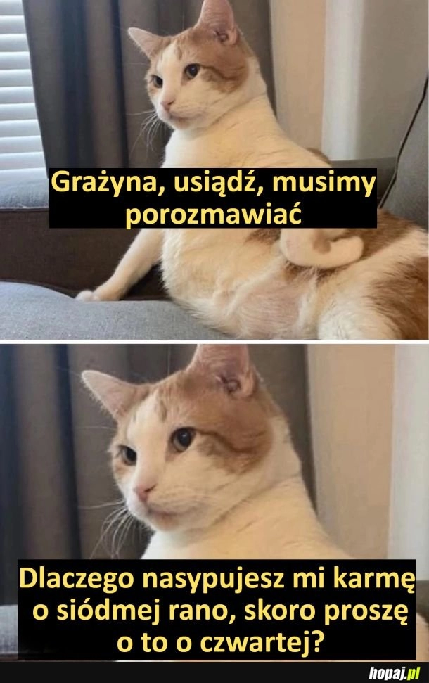 
    Musimy porozmawiać