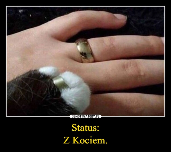 
    Status:
Z Kociem.