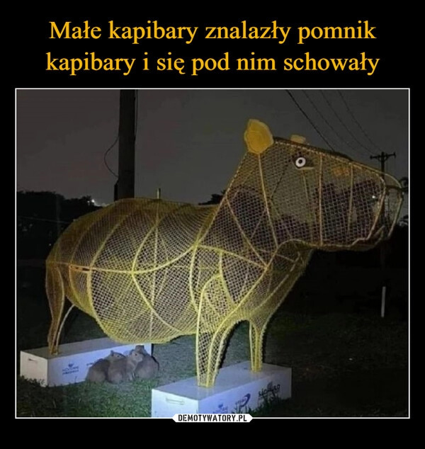 
    Małe kapibary znalazły pomnik kapibary i się pod nim schowały