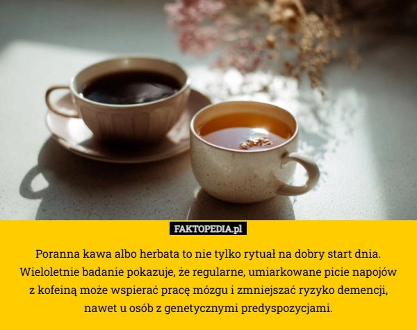 
    Poranna kawa albo herbata to nie tylko rytuał na dobry start dnia. Wieloletnie