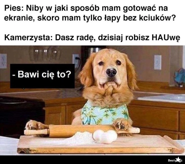 
    No bardzo zabawne, wiesz? 