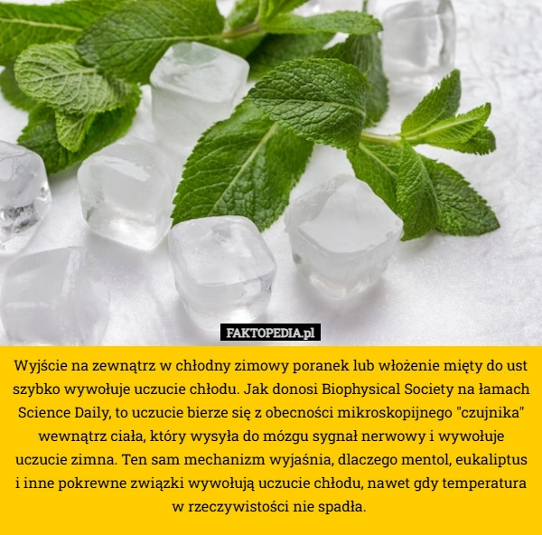 
    Wyjście na zewnątrz w chłodny zimowy poranek lub włożenie mięty do ust szybko