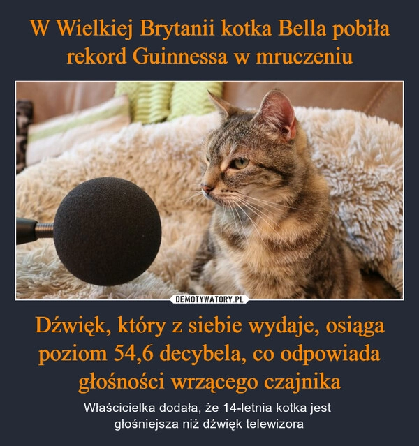 
    W Wielkiej Brytanii kotka Bella pobiła rekord Guinnessa w mruczeniu Dźwięk, który z siebie wydaje, osiąga poziom 54,6 decybela, co odpowiada głośności wrzącego czajnika