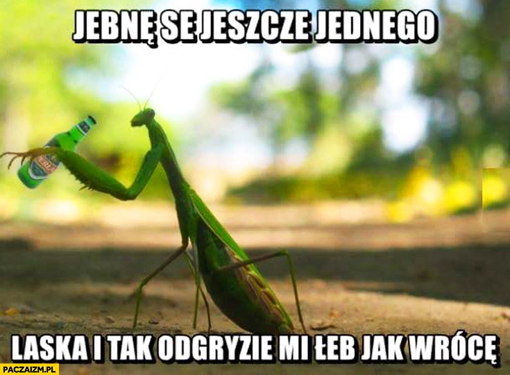 
    Strzelę se jeszcze jednego laska i tak odgryzie mi łeb jak wrócę