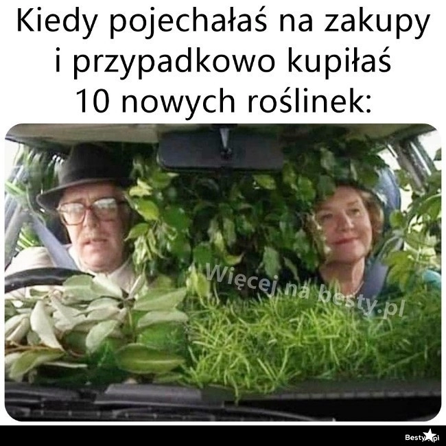 
    To samo tak wyszło 